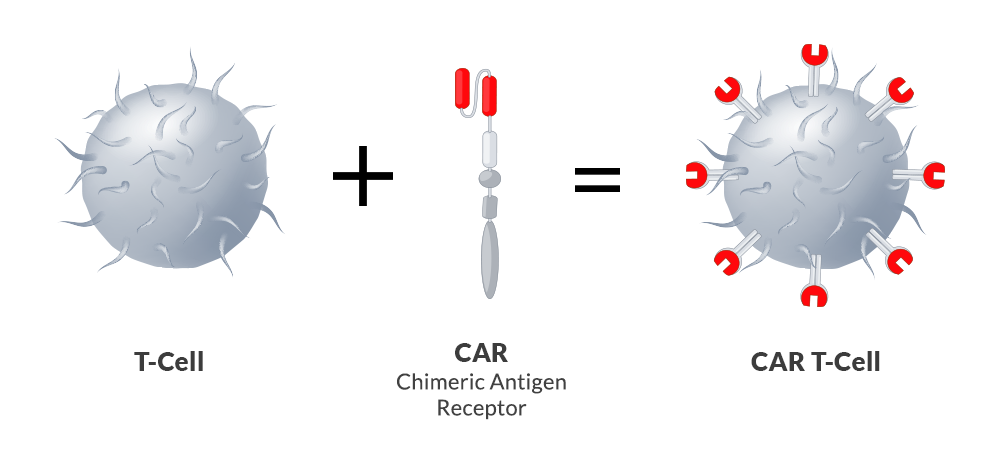 干细胞疗法